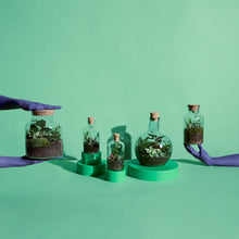 Load image into Gallery viewer, Lil Sista Terrarium Kit
