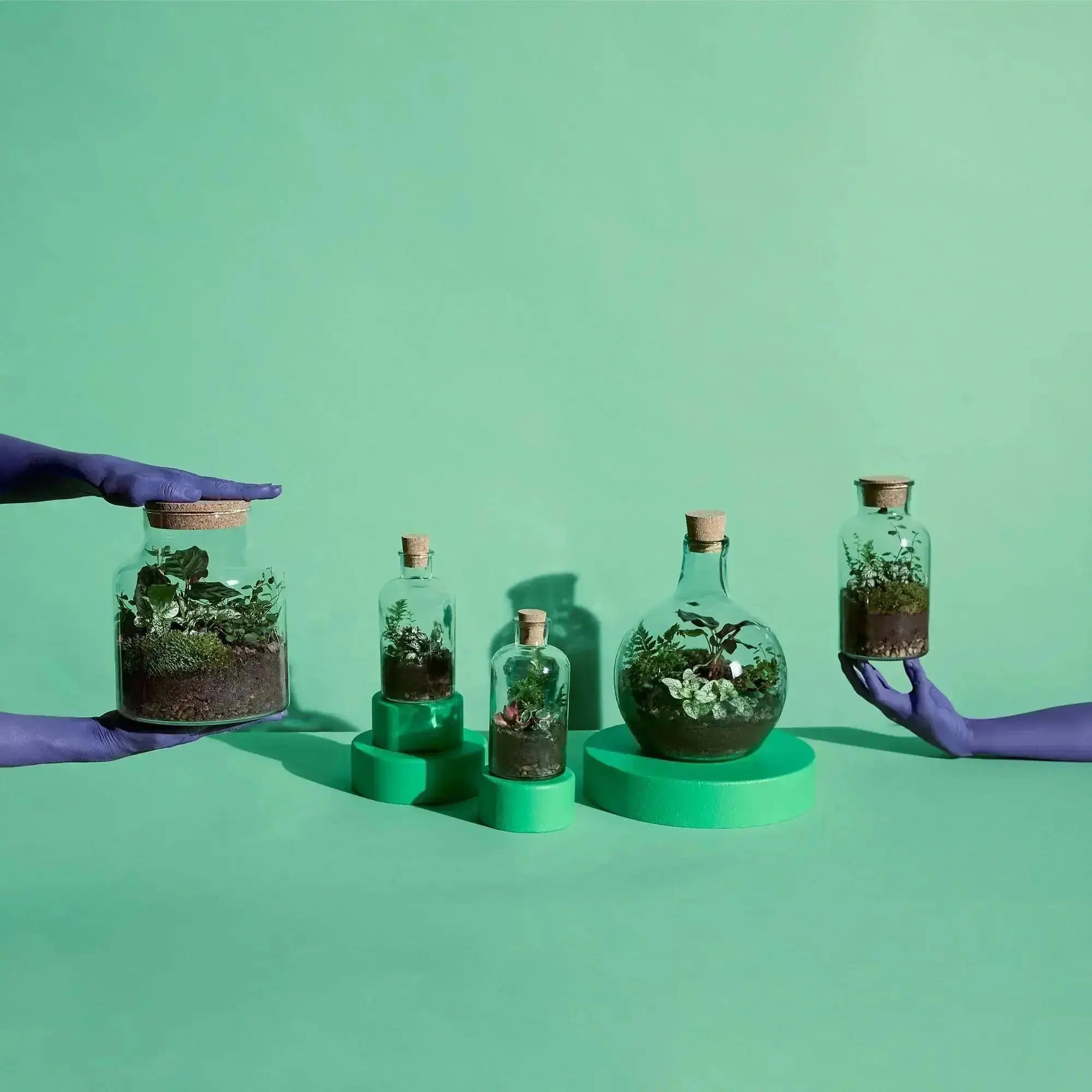 The Refills (Soil + Pebbles 250ML) Pebbles + Soil