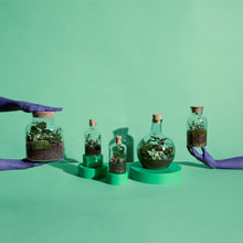 Load image into Gallery viewer, Globe Terrarium Workplace Workshop

