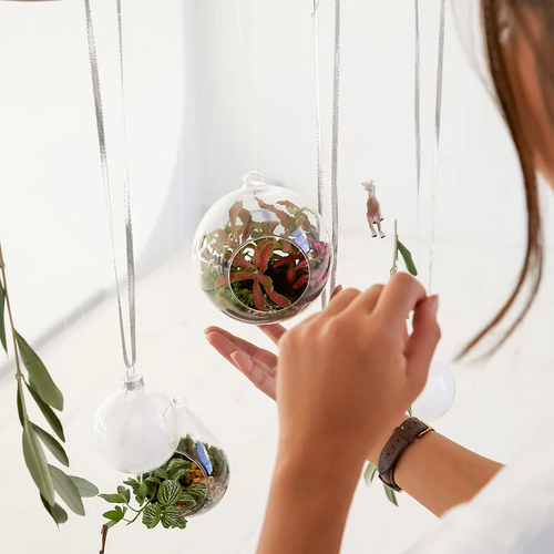 Festive Living Baubles Workshop Hanging Terrarium