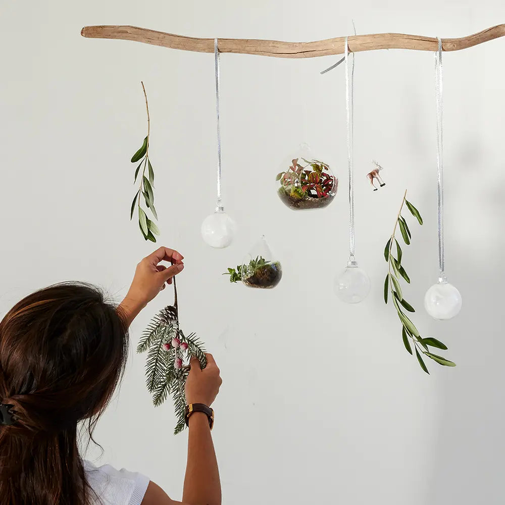 Festive Living Baubles Workshop Hanging Terrarium