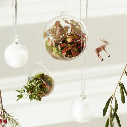 Festive Living Baubles Workshop Hanging Terrarium