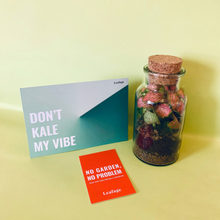 Load image into Gallery viewer, Baby Terrarium Kit
